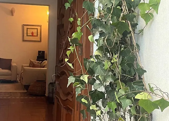 Art Deco House With Private Courtyard In La Condesa Сasa de vacaciones *